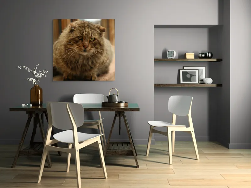 Tablou Canvas, "Pisica înțeleaptă la marginea ferestrei", 100 x 100 cm – poza 6
