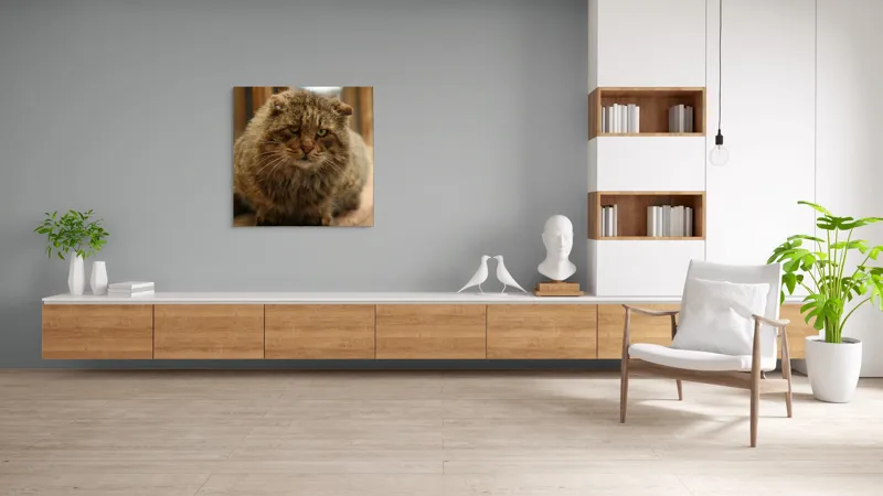 Tablou Canvas, "Pisica înțeleaptă la marginea ferestrei", 100 x 100 cm – poza 8