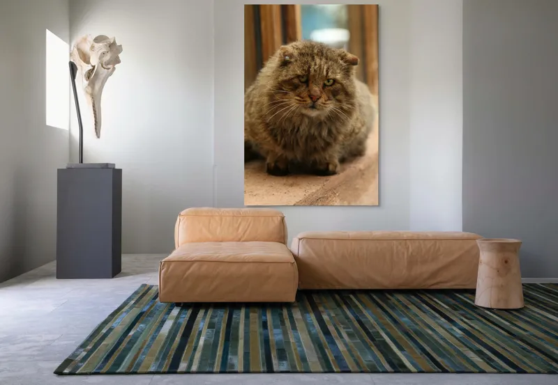 Tablou Canvas, "Pisica înțeleaptă la marginea ferestrei", 100 x 150 cm – poza 7