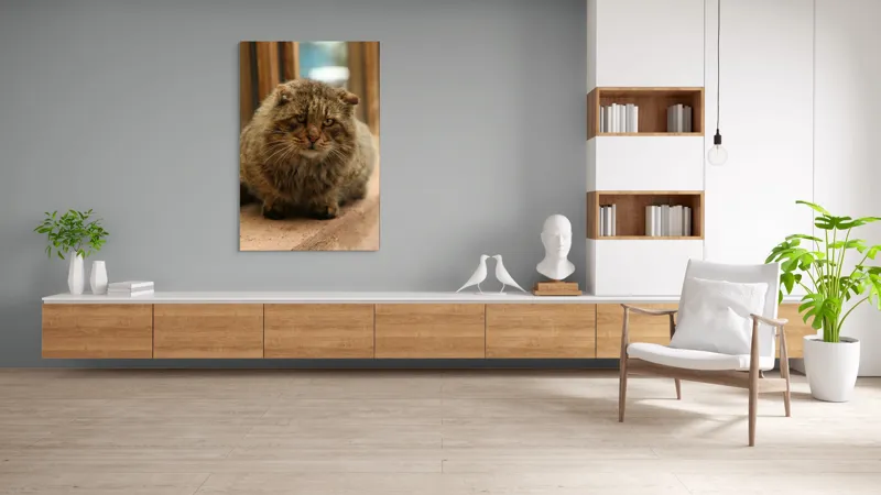 Tablou Canvas, "Pisica înțeleaptă la marginea ferestrei", 100 x 150 cm – poza 8