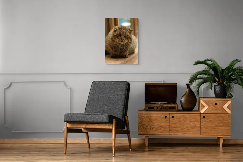 Tablou Canvas, "Pisica înțeleaptă la marginea ferestrei", 50 x 70 cm – poza 8