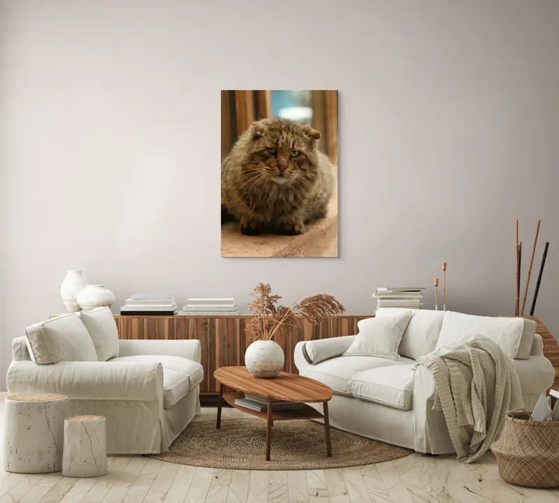 Tablou Canvas, "Pisica înțeleaptă la marginea ferestrei", 70 x 100 cm – poza 4