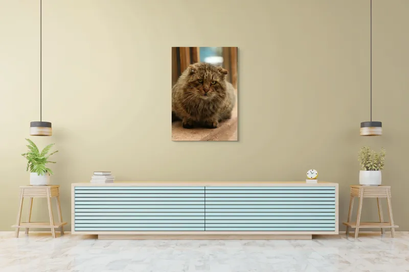 Tablou Canvas, "Pisica înțeleaptă la marginea ferestrei", 70 x 100 cm – poza 5