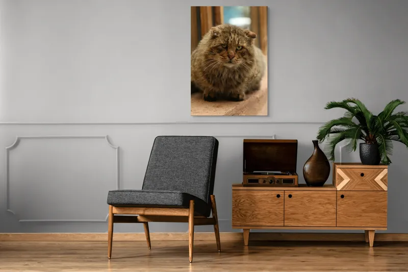 Tablou Canvas, "Pisica înțeleaptă la marginea ferestrei", 70 x 100 cm – poza 6