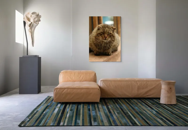 Tablou Canvas, "Pisica înțeleaptă la marginea ferestrei", 70 x 100 cm – poza 7