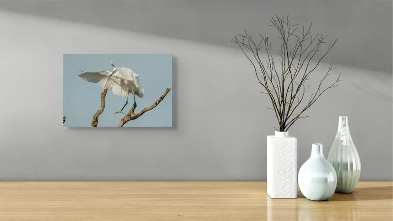 Tablou Canvas, "Egreta dansând pe crengi fragile", Grație, Eleganță, Zbor, Pădure, Aripi, Pasăre, Alb, Natură, 39 x 26 cm – poza 8