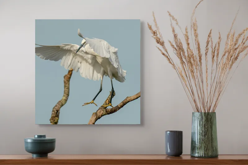 Tablou Canvas, "Egreta dansând pe crengi fragile", Grație, Eleganță, Zbor, Pădure, Aripi, Pasăre, Alb, Natură, 50 x 50 cm – poza 4