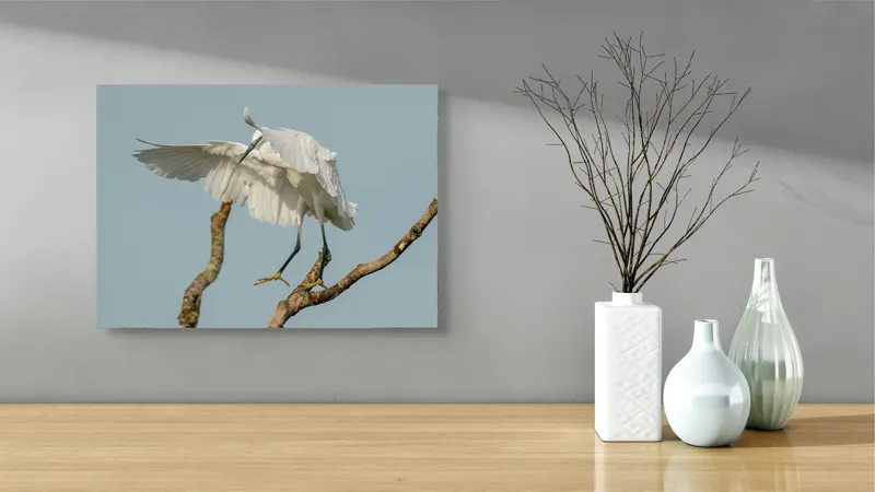 Tablou Canvas, "Egreta dansând pe crengi fragile", Grație, Eleganță, Zbor, Pădure, Aripi, Pasăre, Alb, Natură, 54 x 39 cm – poza 3