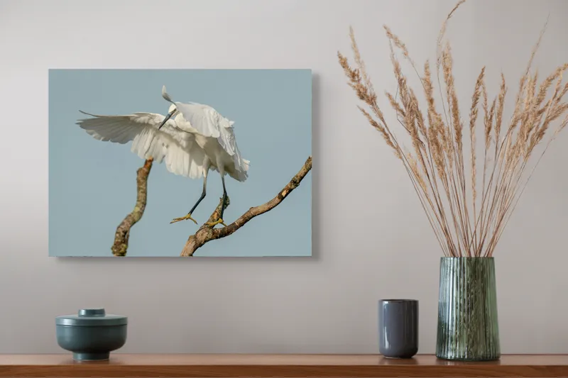 Tablou Canvas, "Egreta dansând pe crengi fragile", Grație, Eleganță, Zbor, Pădure, Aripi, Pasăre, Alb, Natură, 54 x 39 cm – poza 4
