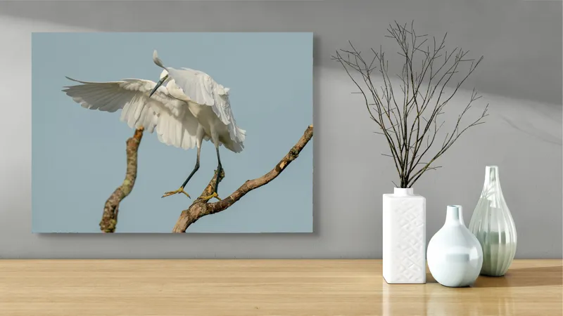 Tablou Canvas, "Egreta dansând pe crengi fragile", Grație, Eleganță, Zbor, Pădure, Aripi, Pasăre, Alb, Natură, 70 x 50 cm – poza 3