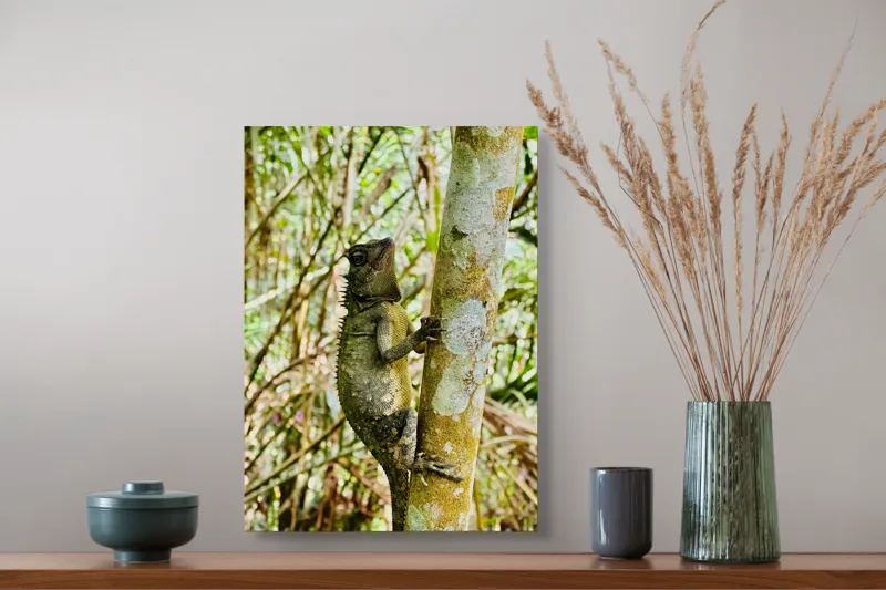 Tablou Canvas, "Șopârla exploratoare în jungla misterioasă", Şopârlă, Arbore, Pădure, Camuflaj, Vertebrate, Natură, Biodiversitate, Echilibru, Frunziş, Textură, 39 x 54 cm – poza 3