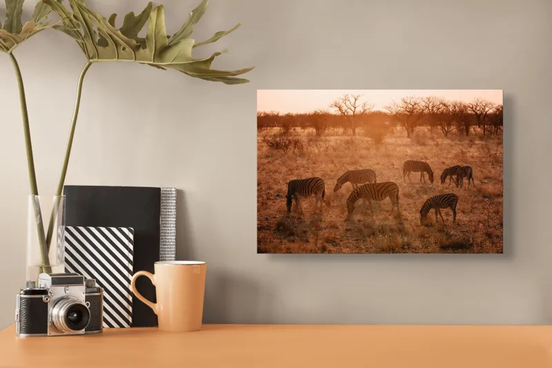 Tablou Canvas, "Zebre în lumina apusului african", Zebre, Apus, Savannah, Copaci, Iarbă, Siluete, Lumină, Relaxare, 39 x 26 cm – poza 3