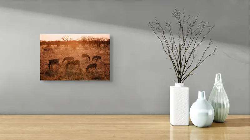 Tablou Canvas, "Zebre în lumina apusului african", Zebre, Apus, Savannah, Copaci, Iarbă, Siluete, Lumină, Relaxare, 39 x 26 cm – poza 8