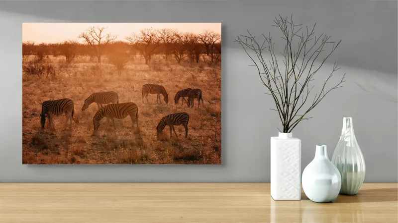 Tablou Canvas, "Zebre în lumina apusului african", Zebre, Apus, Savannah, Copaci, Iarbă, Siluete, Lumină, Relaxare, 70 x 50 cm – poza 3