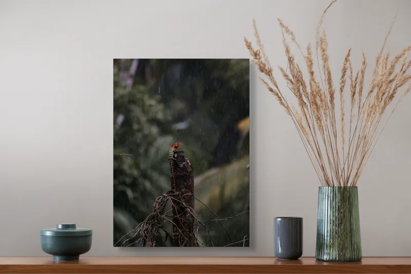 Tablou Canvas Natură Tropicală cu Scenă de Ploaie și Frunze, 39 x 54 cm – poza 3