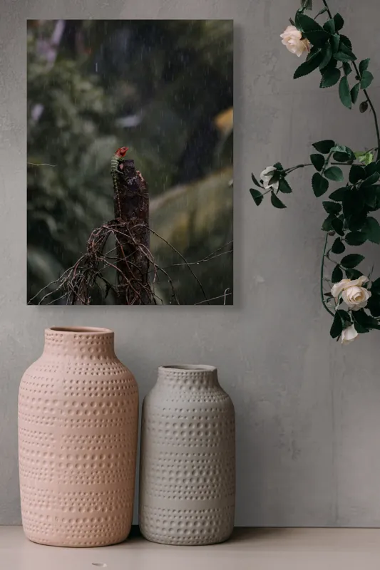 Tablou Canvas Natură Tropicală cu Scenă de Ploaie și Frunze, 39 x 54 cm – poza 6