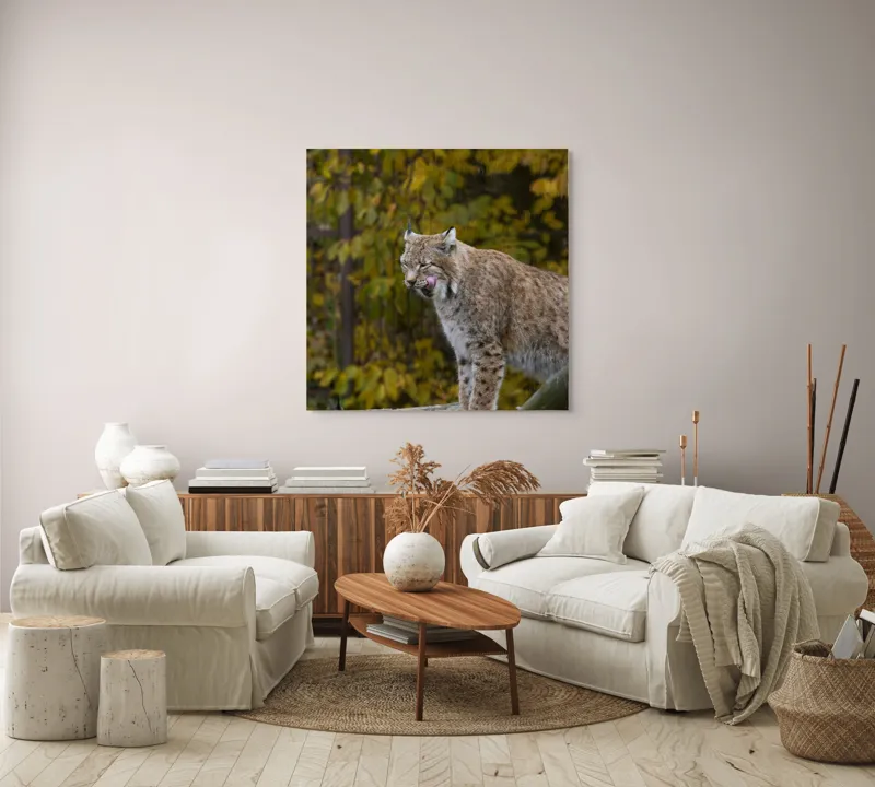 Tablou Canvas, "Râsul în pădurea aurie de toamnă", 100 x 100 cm – poza 3