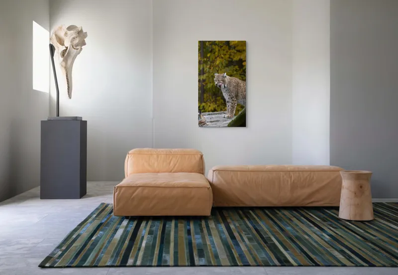 Tablou Canvas, "Râsul în pădurea aurie de toamnă", 50 x 90 cm – poza 5