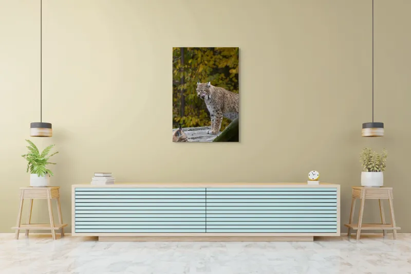 Tablou Canvas, "Râsul în pădurea aurie de toamnă", 70 x 100 cm – poza 5
