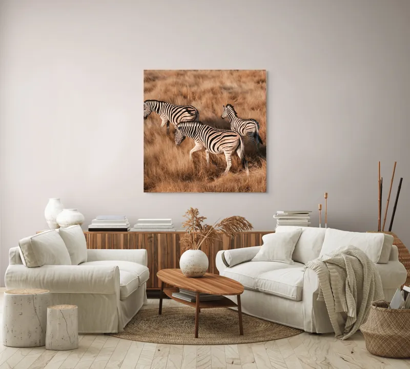 Tablou Canvas, "Zebre în savana africană aurie", Zebre, Căprioare, Savana, Iarbă, Natură, Peisaj, Africă, Animal, Turmă, Dungat, 100 x 100 cm – poza 3