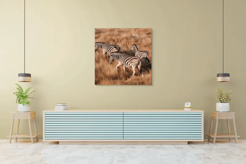 Tablou Canvas, "Zebre în savana africană aurie", Zebre, Căprioare, Savana, Iarbă, Natură, Peisaj, Africă, Animal, Turmă, Dungat, 100 x 100 cm – poza 5