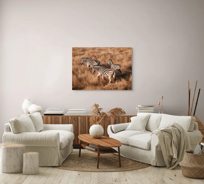 Tablou Canvas, "Zebre în savana africană aurie", Zebre, Căprioare, Savana, Iarbă, Natură, Peisaj, Africă, Animal, Turmă, Dungat, 100 x 70 cm – poza 3