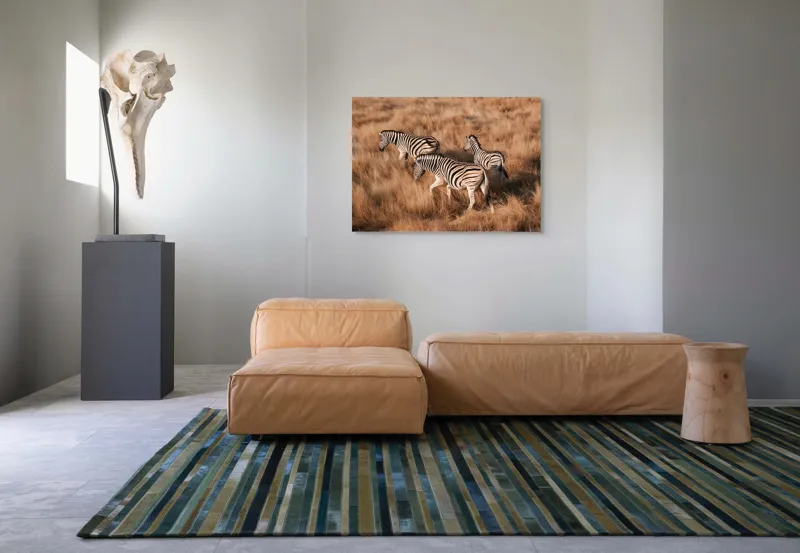 Tablou Canvas, "Zebre în savana africană aurie", Zebre, Căprioare, Savana, Iarbă, Natură, Peisaj, Africă, Animal, Turmă, Dungat, 100 x 70 cm – poza 7