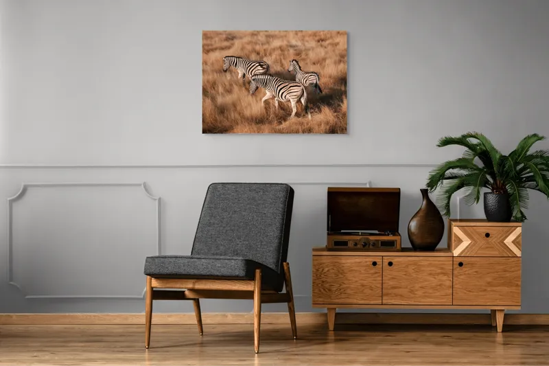 Tablou Canvas, "Zebre în savana africană aurie", Zebre, Căprioare, Savana, Iarbă, Natură, Peisaj, Africă, Animal, Turmă, Dungat, 100 x 70 cm – poza 8