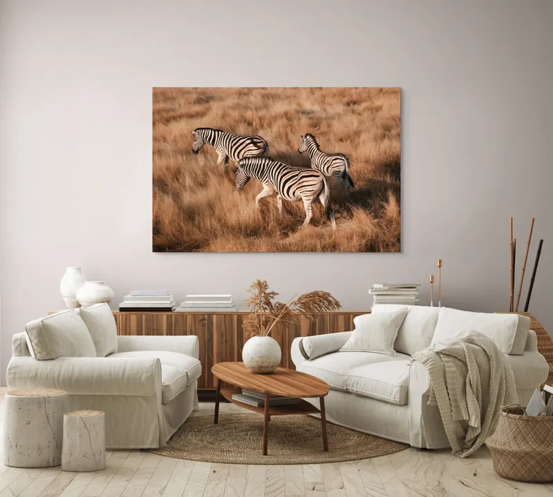 Tablou Canvas, "Zebre în savana africană aurie", Zebre, Căprioare, Savana, Iarbă, Natură, Peisaj, Africă, Animal, Turmă, Dungat, 150 x 100 cm – poza 3