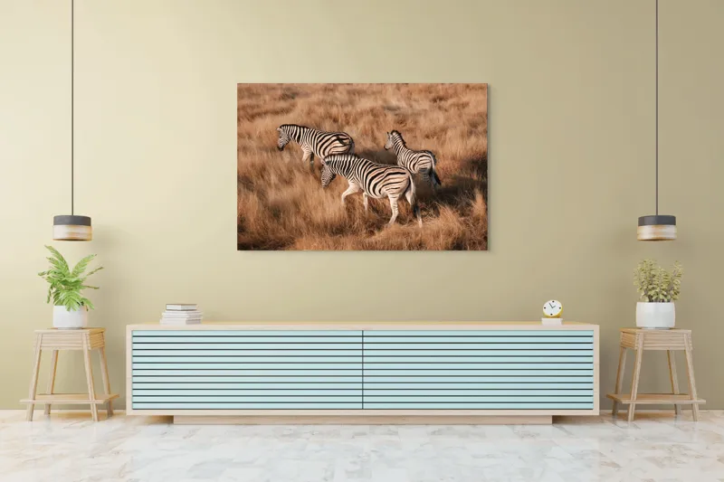Tablou Canvas, "Zebre în savana africană aurie", Zebre, Căprioare, Savana, Iarbă, Natură, Peisaj, Africă, Animal, Turmă, Dungat, 150 x 100 cm – poza 6