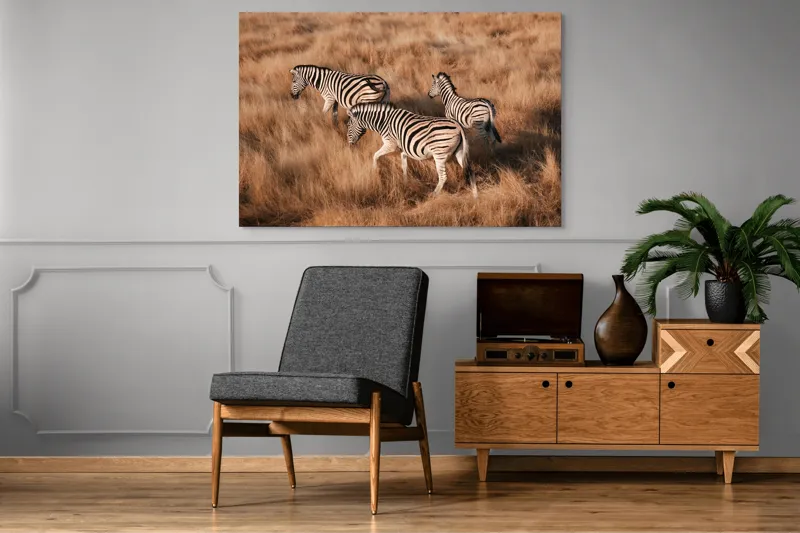 Tablou Canvas, "Zebre în savana africană aurie", Zebre, Căprioare, Savana, Iarbă, Natură, Peisaj, Africă, Animal, Turmă, Dungat, 150 x 100 cm – poza 8
