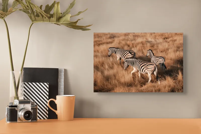 Tablou Canvas, "Zebre în savana africană aurie", Zebre, Căprioare, Savana, Iarbă, Natură, Peisaj, Africă, Animal, Turmă, Dungat, 39 x 26 cm – poza 3