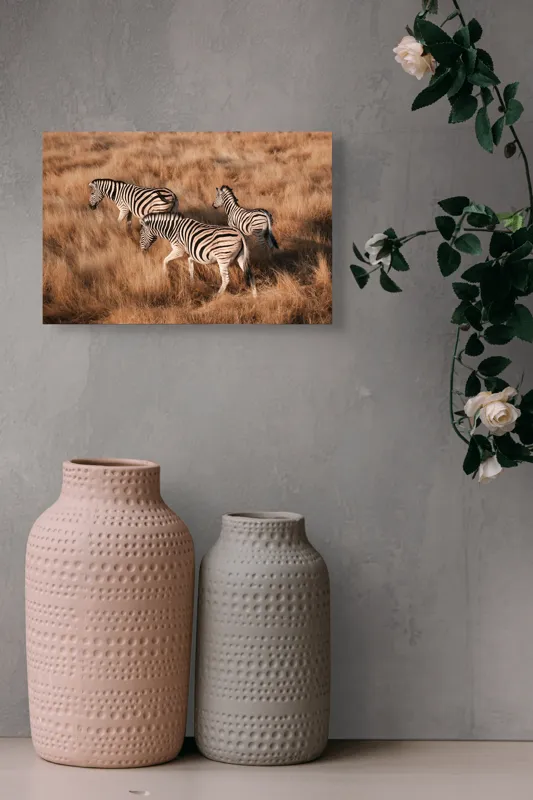 Tablou Canvas, "Zebre în savana africană aurie", Zebre, Căprioare, Savana, Iarbă, Natură, Peisaj, Africă, Animal, Turmă, Dungat, 39 x 26 cm – poza 4