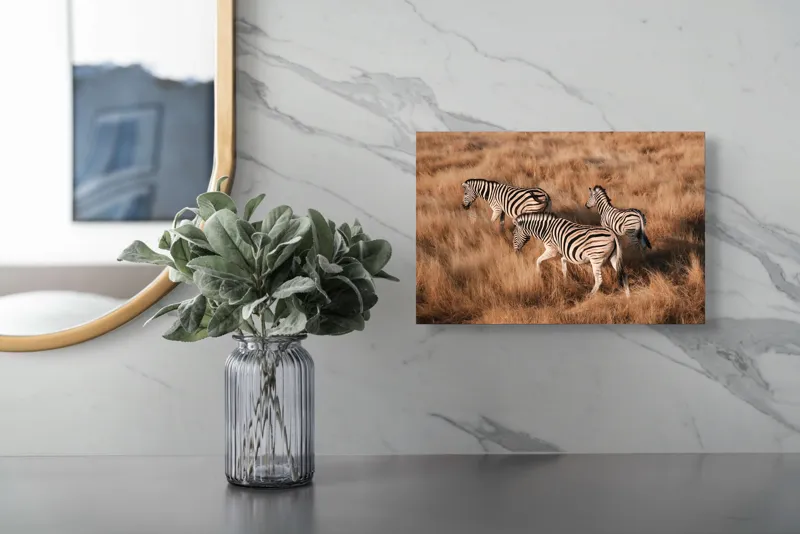 Tablou Canvas, "Zebre în savana africană aurie", Zebre, Căprioare, Savana, Iarbă, Natură, Peisaj, Africă, Animal, Turmă, Dungat, 39 x 26 cm – poza 5