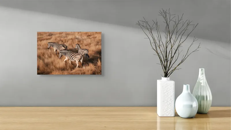 Tablou Canvas, "Zebre în savana africană aurie", Zebre, Căprioare, Savana, Iarbă, Natură, Peisaj, Africă, Animal, Turmă, Dungat, 39 x 26 cm – poza 8