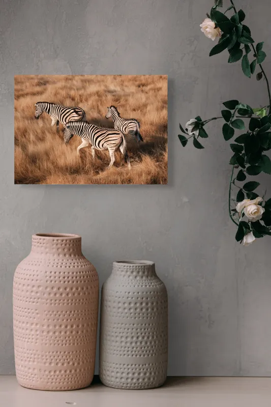 Tablou Canvas, "Zebre în savana africană aurie", Zebre, Căprioare, Savana, Iarbă, Natură, Peisaj, Africă, Animal, Turmă, Dungat, 54 x 39 cm – poza 8