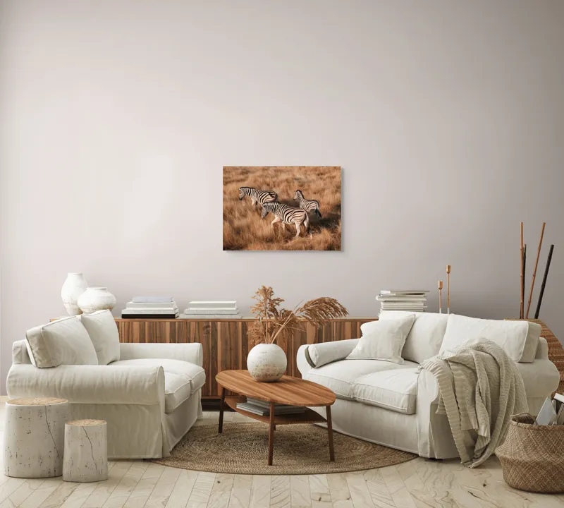 Tablou Canvas, "Zebre în savana africană aurie", Zebre, Căprioare, Savana, Iarbă, Natură, Peisaj, Africă, Animal, Turmă, Dungat, 70 x 50 cm – poza 6