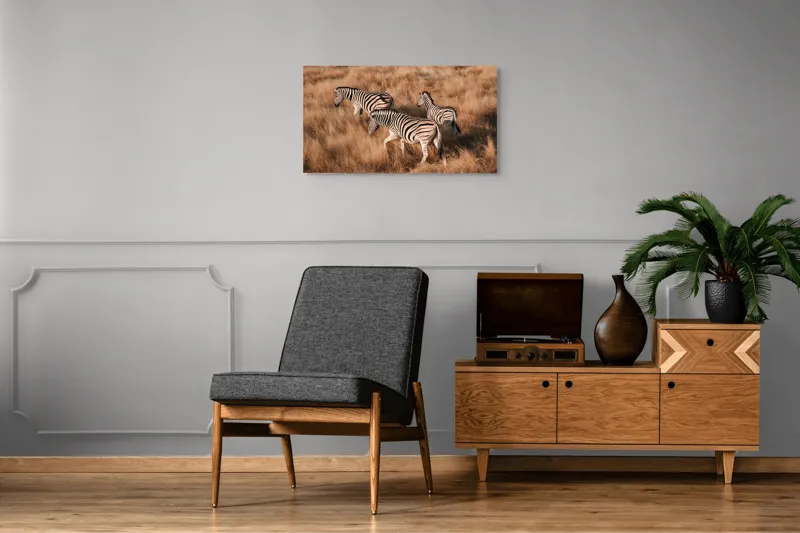 Tablou Canvas, "Zebre în savana africană aurie", Zebre, Căprioare, Savana, Iarbă, Natură, Peisaj, Africă, Animal, Turmă, Dungat, 90 x 50 cm – poza 6