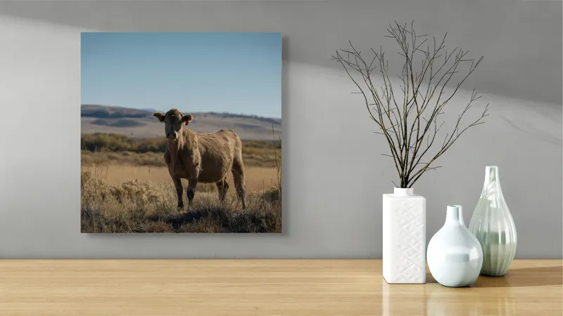 Tablou Canvas, "Vaca rătăcită în câmpie deschisă", Vacă, Câmp, Cer, Peisaj, Vegetație, Munți, Natură, Animale, Expanse, Tranquilitate, 50 x 50 cm – poza 3