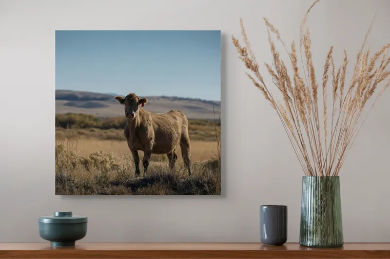 Tablou Canvas, "Vaca rătăcită în câmpie deschisă", Vacă, Câmp, Cer, Peisaj, Vegetație, Munți, Natură, Animale, Expanse, Tranquilitate, 50 x 50 cm – poza 4