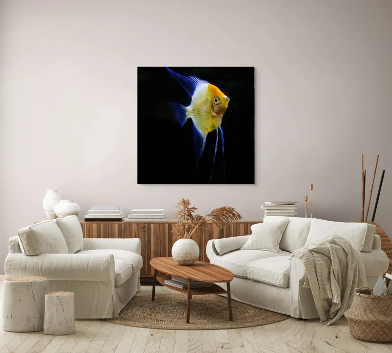 Tablou Canvas, "Înotătoarea albastră în abis întunecat", Pește, Înotătoare, Colorat, Acvariu, Contrast, Elegant, Subacvatic, Feeric, 100 x 100 cm – poza 3