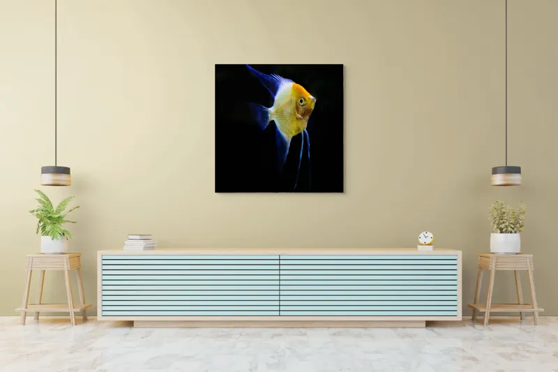 Tablou Canvas, "Înotătoarea albastră în abis întunecat", Pește, Înotătoare, Colorat, Acvariu, Contrast, Elegant, Subacvatic, Feeric, 100 x 100 cm – poza 5