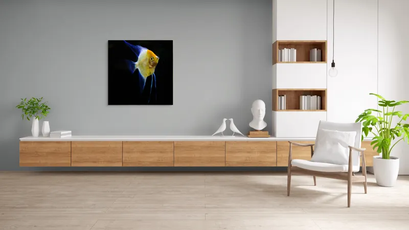 Tablou Canvas, "Înotătoarea albastră în abis întunecat", Pește, Înotătoare, Colorat, Acvariu, Contrast, Elegant, Subacvatic, Feeric, 100 x 100 cm – poza 8