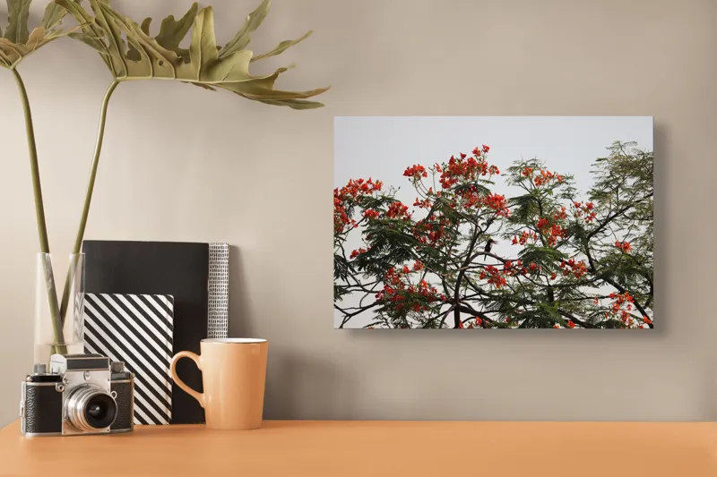 Tablou Canvas, "Papagal printre flori de flamboyant", Roșu, Frunze, Ramuri, Păsăre, Cer, Arbori, Flori, Natură, Culoare, Contrast, 39 x 26 cm – poza 3