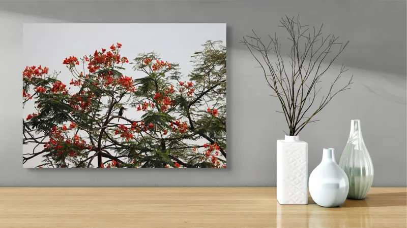 Tablou Canvas, "Papagal printre flori de flamboyant", Roșu, Frunze, Ramuri, Păsăre, Cer, Arbori, Flori, Natură, Culoare, Contrast, 70 x 50 cm – poza 3