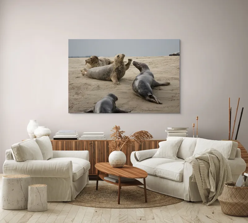 Tablou Canvas, "Foci relaxate pe plaja nisipoasă", 150 x 100 cm – poza 3