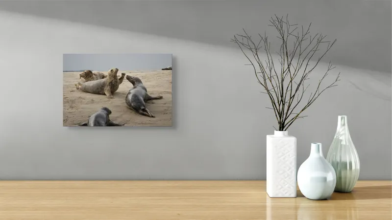 Tablou Canvas, "Foci relaxate pe plaja nisipoasă", 39 x 26 cm – poza 8