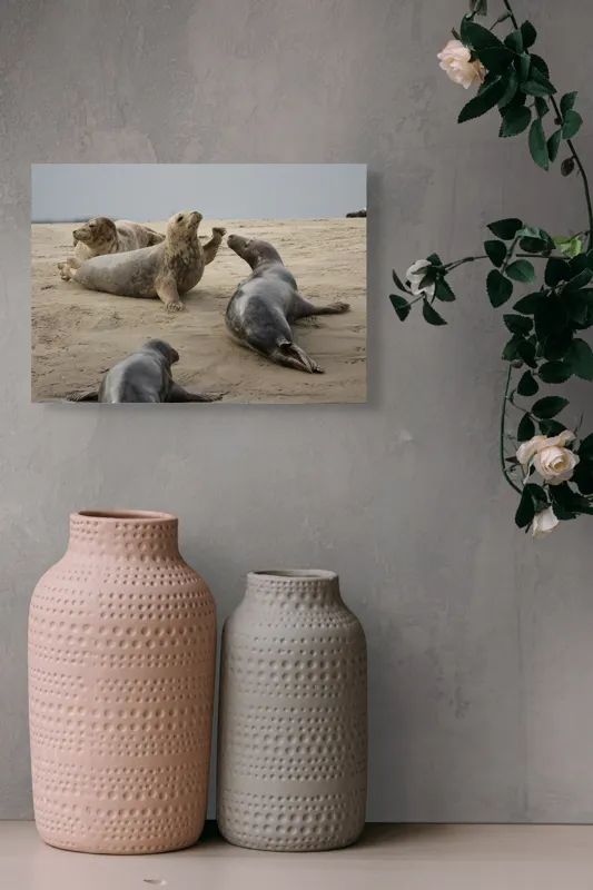 Tablou Canvas, "Foci relaxate pe plaja nisipoasă", 54 x 39 cm – poza 8