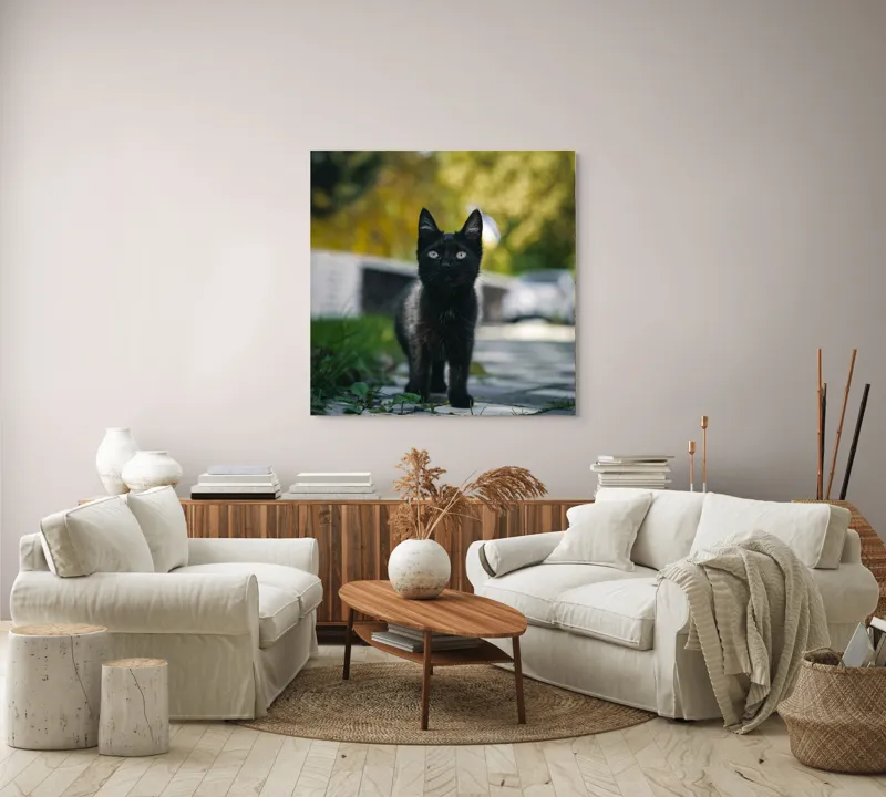 Tablou Canvas, "Pisoiul negru pe cărăruie însorită", Negru, Ochii, Pisică, Trotuar, Natură, Verdeață, Blană, Curiozitate, 100 x 100 cm – poza 3