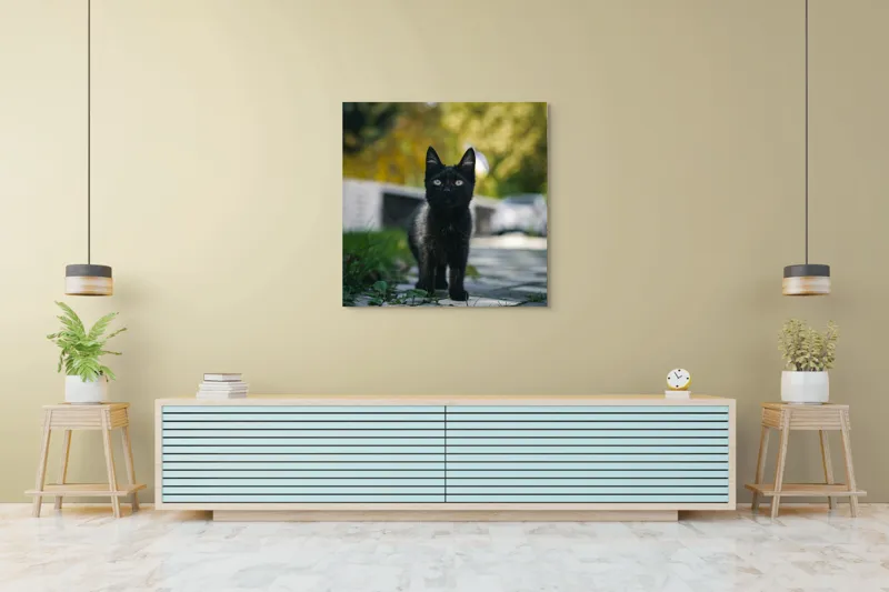 Tablou Canvas, "Pisoiul negru pe cărăruie însorită", Negru, Ochii, Pisică, Trotuar, Natură, Verdeață, Blană, Curiozitate, 100 x 100 cm – poza 5